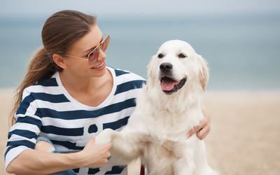 Similar image 11458726