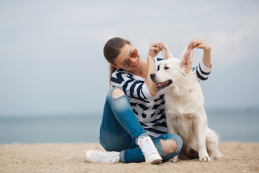 Similar image 11458746