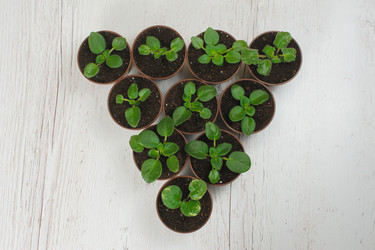 Similar image 11460327