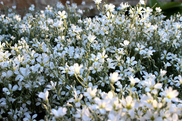 Similar image 11456385