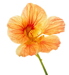 Similar image 11461207