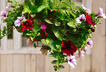 Similar image 11461270