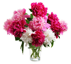 Similar image 11461273