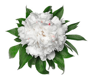 Similar image 11461277