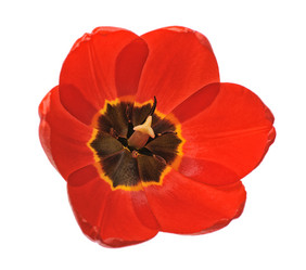 Similar image 11461279