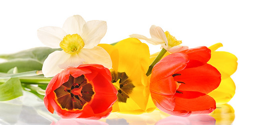 Similar image 11461283