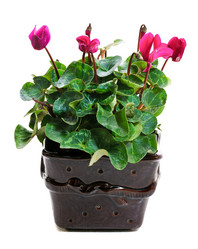 Similar image 11461309