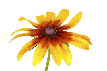 Similar image 11461312