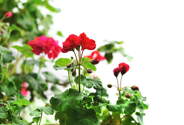 Similar image 11461313