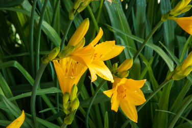 Similar image 11460345