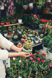 Similar image 11457411