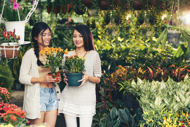 Similar image 11457570