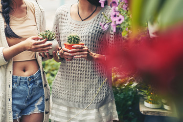 Similar image 11457576