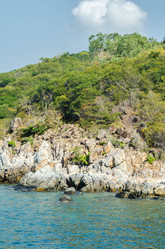 Similar image 11459090