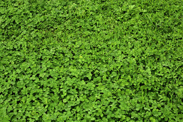 Similar image 11458987