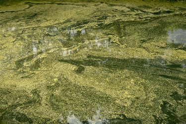 Similar image 11458988