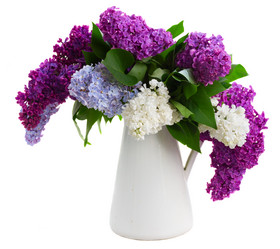 Similar image 11466284