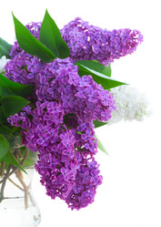 Similar image 11466039