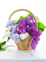 Similar image 11466040