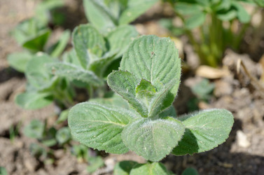 Similar image 11459052