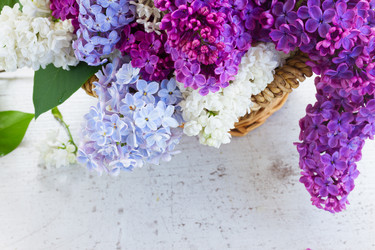 Similar image 11466041