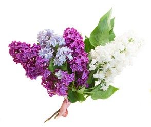 Similar image 11466042