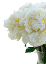 Similar image 11466044