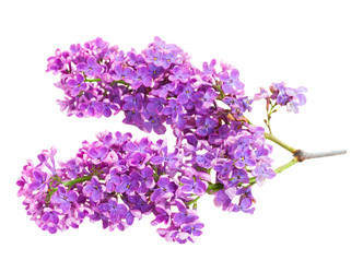 Similar image 11466060