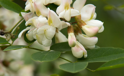 Similar image 11460775