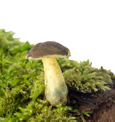 Similar image 11460777