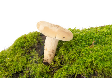 Similar image 11460778