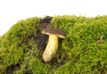 Similar image 11460779