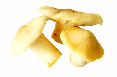 Similar image 11460780