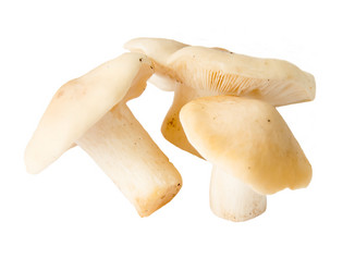 Similar image 11460781