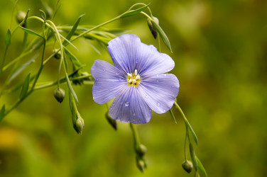 Similar image 11460783