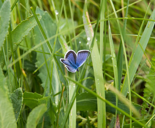 Similar image 11460784