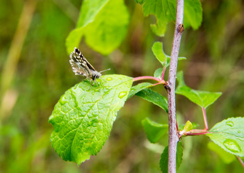 Similar image 11460785