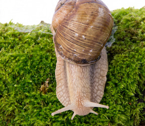 Similar image 11460808