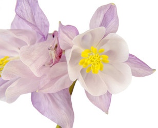 Similar image 11460814