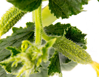 Similar image 11460818