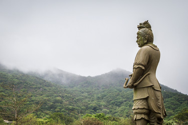 Similar image 11458969