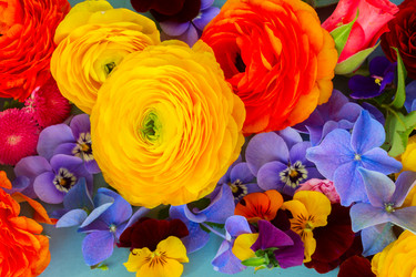 Similar image 11466266