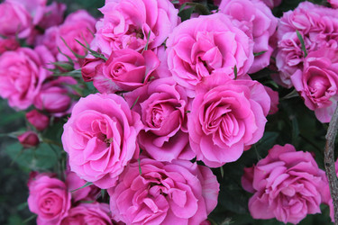 Similar image 11464601