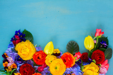 Similar image 11466268