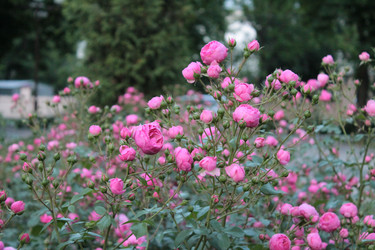 Similar image 11464602