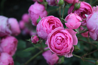 Similar image 11464603