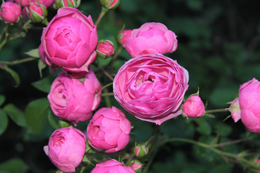 Similar image 11464604