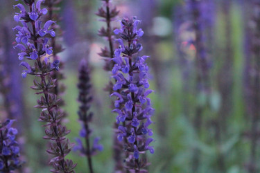 Similar image 11464606