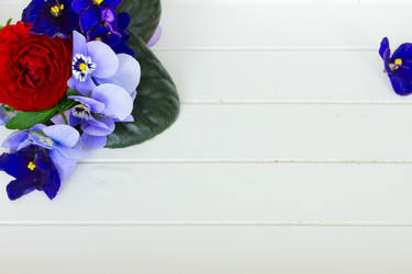 Similar image 11466270