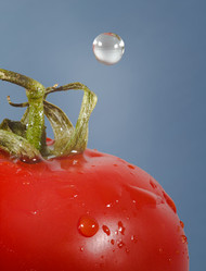 Similar image 11461099